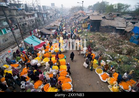 Mallick Ghat è uno dei più grandi mercati di fiori in Asia. Scene di prima mattina al mercato di Kolkata, Bengala Occidentale, India. Foto Stock