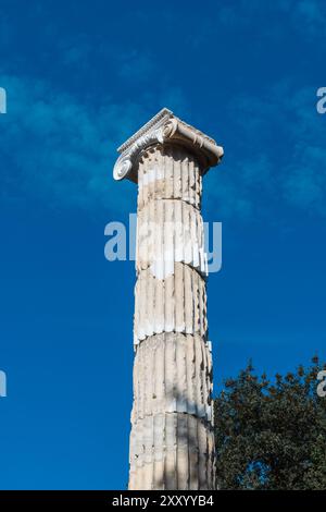 Olimpia, Grecia - 9 ottobre 2019: Solitaria colonna greca antica si erge contro il cielo blu. Foto Stock