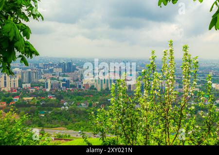 Vista panoramica della città di Almaty dal monte Koktobe. In primo piano ci sono meli in fiore. Almaty, Kazakistan - 6 maggio 2024. Foto Stock
