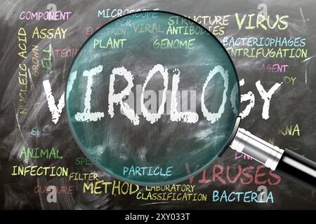 Virologia in corso di studio, esame - sotto stretta ispezione. Argomenti e idee più importanti strettamente correlati alla virologia scritti su una lavagna ispirano Foto Stock