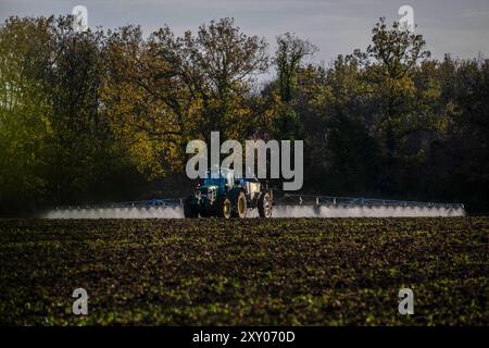 Trattamento fitosanitario su un appezzamento agricolo in autunno-inverno: Trattore con irroratrice in un campo, diffusione di pesticidi, fitofarmaceutica Foto Stock