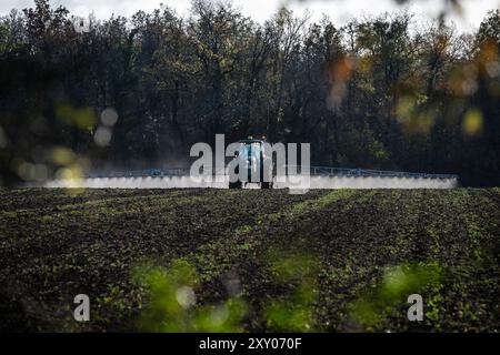 Trattamento fitosanitario su un appezzamento agricolo in autunno-inverno: Trattore con irroratrice in un campo, diffusione di pesticidi, fitofarmaceutica Foto Stock