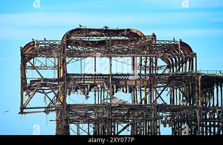 Brighton Regno Unito 27 agosto 2024 - i cormorani prendono il sole sul molo West in rovina a Brighton in una calda mattinata di sole, dato che le temperature si prevede aumenteranno nel Sud Est nei prossimi giorni: Credit Simon Dack / Alamy Live News Foto Stock