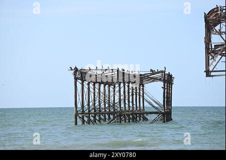 Brighton Regno Unito 27 agosto 2024 - i cormorani prendono il sole sul molo West in rovina a Brighton in una calda mattinata di sole, dato che le temperature si prevede aumenteranno nel Sud Est nei prossimi giorni: Credit Simon Dack / Alamy Live News Foto Stock