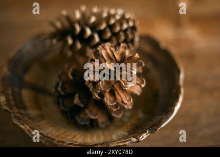 Primo piano di coni di pino su sfondo beige, concetto naturalistico Foto Stock