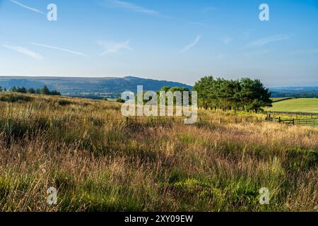 La luce del sole mattutino attraversa Anglezarke Moors Lancashire Inghilterra, Regno Unito, con il famoso sfondo di Rivington Pike Foto Stock