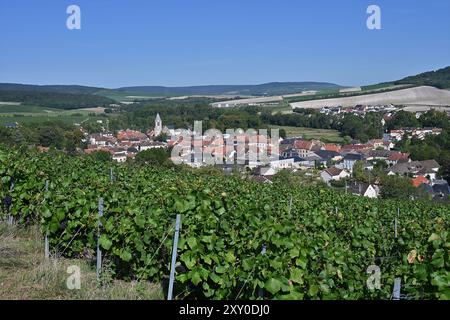 Avenay-Val-d'Or (Francia nord-orientale): Villaggio e vigneto di Champagne, a sud dei monti Reims, in una valle formata dal fiume Livre. Foto Stock