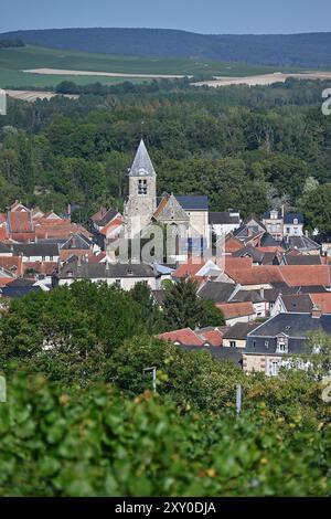 Avenay-Val-d'Or (Francia nord-orientale): Villaggio e vigneto di Champagne, a sud dei monti Reims, in una valle formata dal fiume Livre. Foto Stock