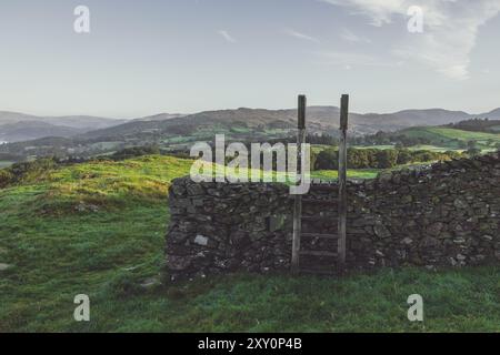 Uno stile di legno sopra un tradizionale muro di pietra a secco nel Lake District National Park in Inghilterra, nella splendida mattinata d'estate soleggiata con campi verdi. Foto Stock