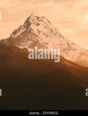 Maestosa vetta dell'Himalaya bagnata dalla calda luce dorata del sole che tramonta, evidenziando l'aspra struttura della cima innevata e della surr Foto Stock