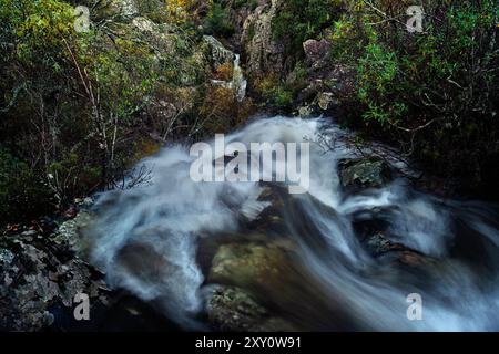 Un tranquillo ruscello di montagna scorre rapidamente attraverso un terreno roccioso circondato da una lussureggiante foresta verde, che mostra la bellezza incontaminata della natura Foto Stock
