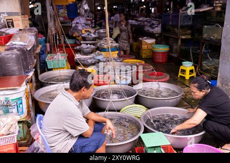 Venditore di pesce fresco nella sezione del mercato umido del mercato centrale (Phsar Thmei), Phnom Penh, Cambogia. Foto Stock