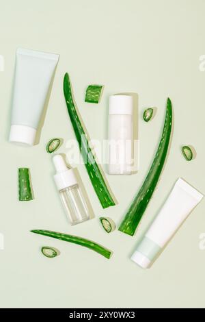 Un'esposizione fresca e pulita di prodotti di aloe vera, tra cui piante tagliate e vari contenitori per cosmetici, disposti artisticamente su un retroidro verde chiaro Foto Stock