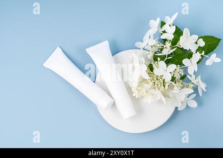 Vista dall'alto dei fiori di ortensia accanto a due tubi cosmetici bianchi su un piatto, isolato su un delicato sfondo blu, che incarna bellezza naturale della pelle. Foto Stock
