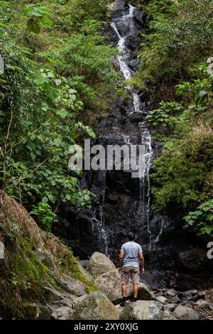 Vista sul retro dell'irriconoscibile escursionista maschile che osserva una cascata a Pico Blanco, circondata da vegetazione lussureggiante. La persona, acquisita dalla vista posteriore, sta Foto Stock