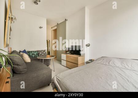 Moderno monolocale ben illuminato con un'accogliente zona soggiorno con divano e supporto TV, letto con biancheria grigia e arredi semplici. Foto Stock