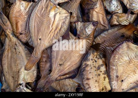 Il pesce essiccato è stato ordinato per la vendita in un vivace mercato in una città costiera asiatica durante il giorno Foto Stock