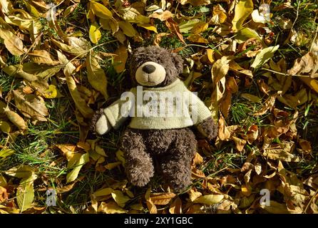 Un orsacchiotto in un maglione giace sul prato tra le foglie cadute in autunno Foto Stock