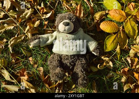 Un orsacchiotto in un maglione giace sul prato tra le foglie cadute in autunno Foto Stock