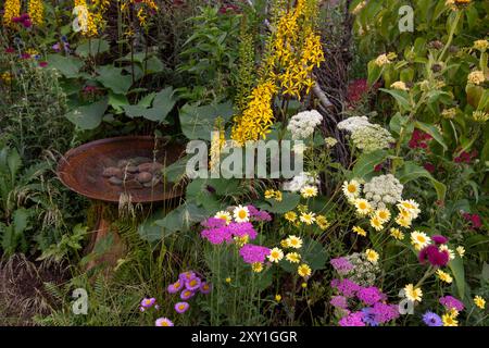 Liguria "il Rocket", Millefolium "graziosa Belinda", Cirsium rivulare e Anthemis tinctoria intorno a un bagno circolare di uccelli in metallo nel for the Birds gard Foto Stock