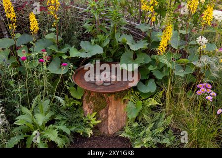 Liguria "il Rocket", Millefolium "graziosa Belinda", Cirsium rivulare e Anthemis tinctoria intorno a un bagno circolare di uccelli in metallo nel for the Birds gard Foto Stock