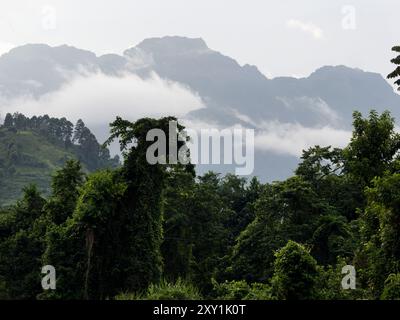 Vista del picco montuoso sui monti Rwenzori, Uganda Foto Stock