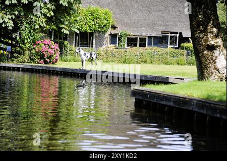 Un cane da guardia ha rilevato una proprietà a Giethoorn, Olanda Foto Stock