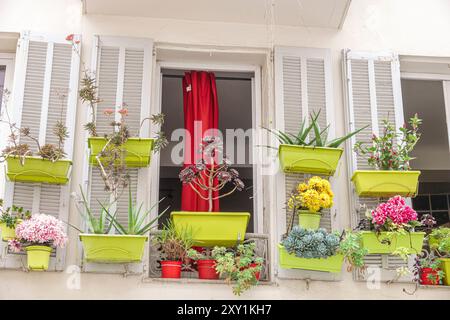 Cannes Francia,quartiere vecchio le Suquet,Centro Croisette,Rue Meynadier,persiane per appartamenti residenziali,fioriere piante fiori succulenti,FR Foto Stock