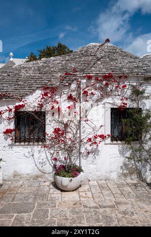Tipiche case chiamate Trulli di Alberobello. Alberobello, Bari, Puglia, Italia, Europa. Foto Stock