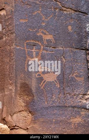 Un'arte rupestre pre-ispanica dei nativi americani o un pannello di incisioni rupestri nel Daddy's Canyon, un affluente del Nine Mile Canyon, Utah. Foto Stock