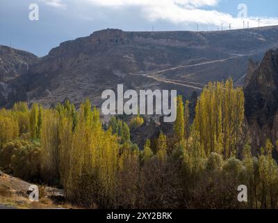 Vista mozzafiato della Valle di Soganli in autunno, Cappadocia-Turchia Foto Stock