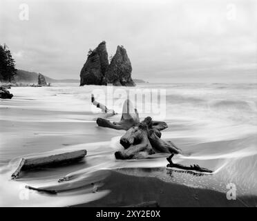 BW02011-00..... WASHINGTON - Rialto Beach vicino a Hole-in-the-Wall, Olympic National Park. Foto Stock