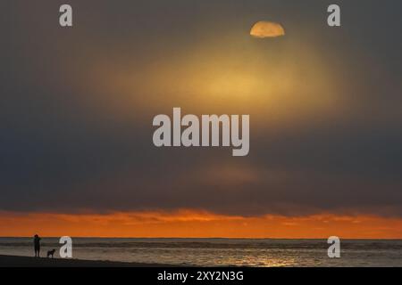 Isola di Palms, Stati Uniti. 27 agosto 2024. Un beachgoer cammina il suo cane mentre il sole lotta per rompere una pesante nebbia marittima sull'Oceano Atlantico, 27 agosto 2024 a Isle of Palms, Carolina del Sud. Crediti: Richard Ellis/Richard Ellis/Alamy Live News Foto Stock