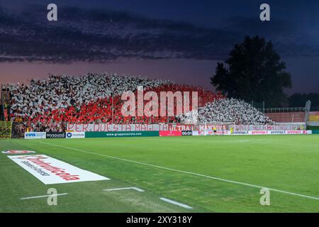 Tifosi del Mantova 1911 durante il campionato italiano di calcio di serie B tra il Mantova 1911 e il Cosenza calcio 1914 a Danilo Martel Foto Stock