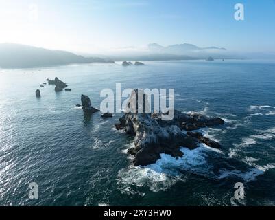 Gli aspri fondali marini si trovano appena al largo della costa panoramica dell'Oregon settentrionale, vicino a Cannon Beach. Questa splendida zona è a circa un'ora di auto da Portland. Foto Stock
