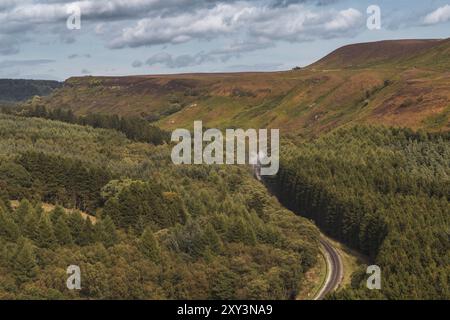 North York Moors paesaggio in Newtondale, visto dal Levisham Moor, North Yorkshire, Inghilterra, Regno Unito Foto Stock