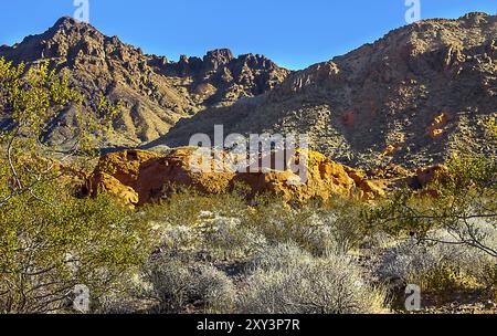 Lake Mead National Recreation Area Arizona USA Foto Stock