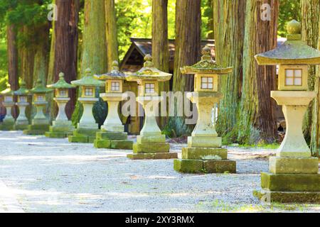 Le tradizionali Lanterne di pietra giapponesi di medie dimensioni allineate in fila a un punto di svanimento su un sentiero ombreggiato che conduce ad un tempio a Takayama, Giappone, Asia Foto Stock