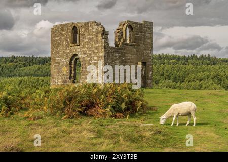 North York Moors paesaggio, guardando Skelton Tower, visto dal Levisham Moor, North Yorkshire, Inghilterra, Regno Unito Foto Stock