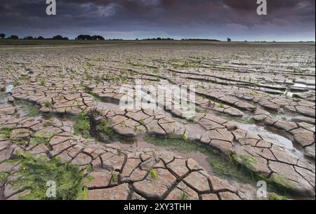 Fango incrinato sulla costa del mare di Wadden al tramonto, Paesi Bassi Foto Stock