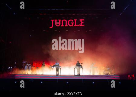 Parigi, Francia. 23 agosto 2024. La band di musica dance britannica Jungle si esibisce il terzo giorno del Rock en Seine Festival, al Domaine National Saint-Cloud, a Parigi. Credito: SOPA Images Limited/Alamy Live News Foto Stock