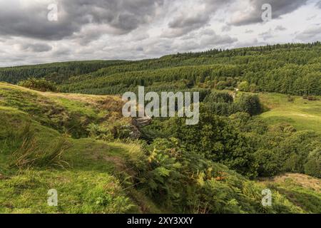 Il paesaggio delle North York Moors si affaccia dalla Levisham Moor su Newtondale, North Yorkshire, Inghilterra, Regno Unito Foto Stock