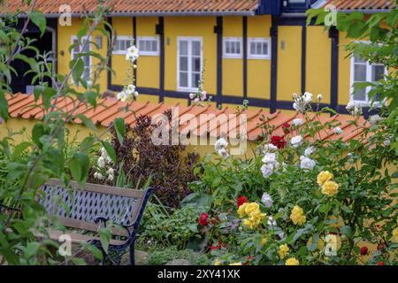 Un colorato giardino con posti a sedere con vari fiori di fronte a una casa gialla e mezzo legno, svaneke, bornholm, Mar baltico, danimarca, scandinavia Foto Stock