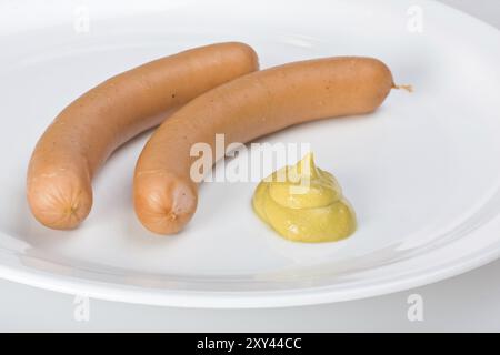 Un paio di cablaggi su una piastra bianca Foto Stock