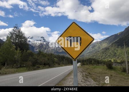 Cartelli segnaletici della strada della mucca sulla Carretera australe Foto Stock