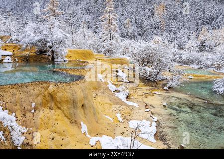 Vista delle cascate ghiacciate e degli alberi innevati di Huanglong, Sichuan, Cina, Asia Foto Stock