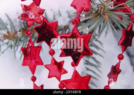 Collana stellare in un albero, collana fatta di stelle in un albero Foto Stock