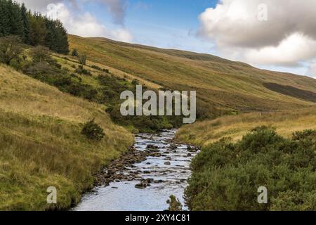 Afon Llúria vicino Ystradfellte in Powys, Wales, Regno Unito Foto Stock