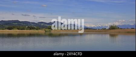 Scena primaverile nel Canton Zurigo. Lago Pfaeffikon, verdi colline e lontane vedute delle montagne innevate Foto Stock