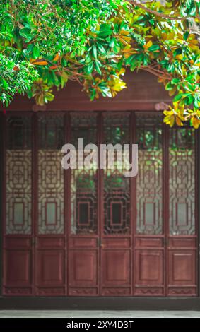 Una porta in legno con intricati tralicci è parzialmente oscurata da foglie verdi. Foto Stock